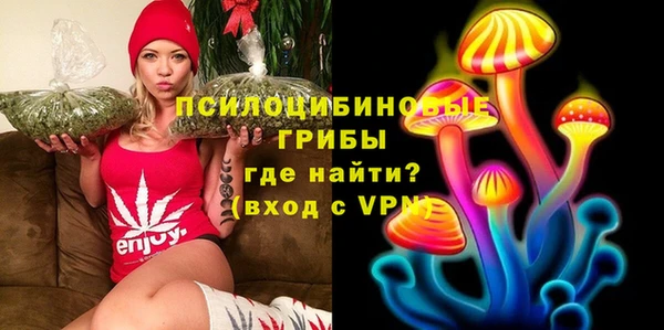 бошки Арсеньев