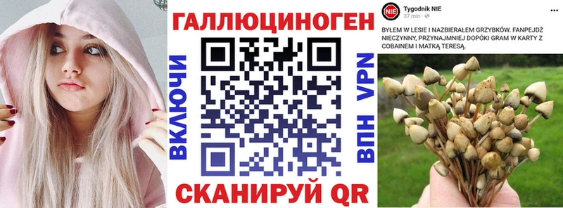 Псилоцибиновые грибы Magic Shrooms  Нарткала 